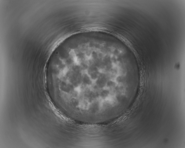 X0000115691031200912031437