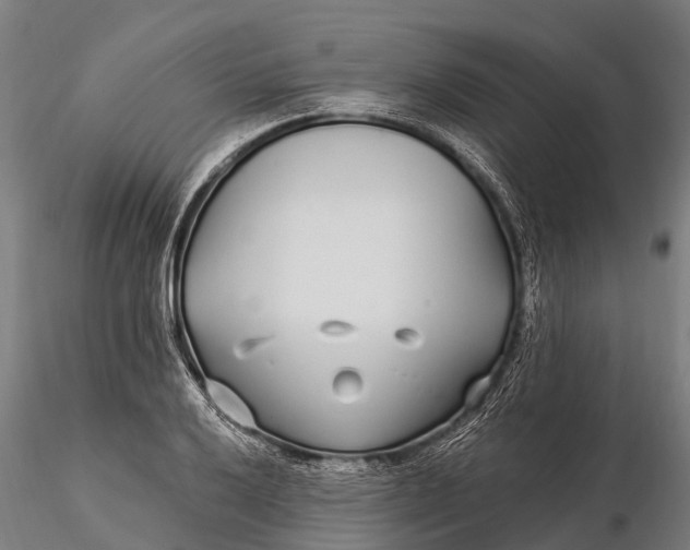 X0000115691032200912031437