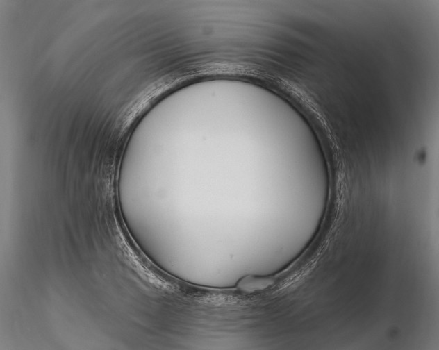 X0000115691033200912031437