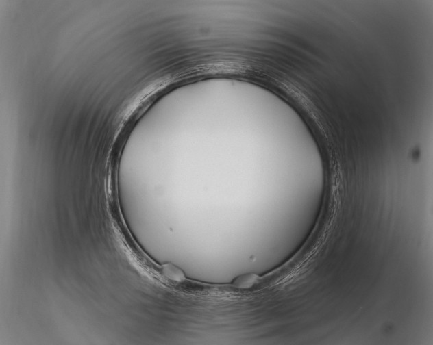 X0000115691034200912031437