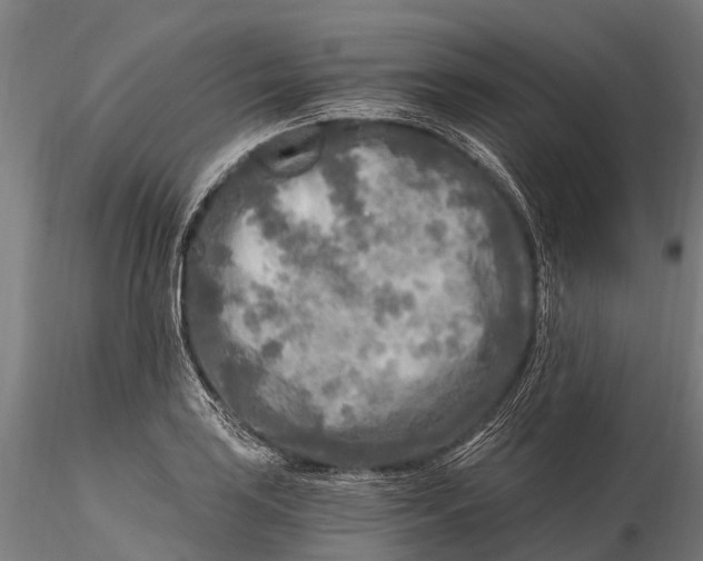 X0000115691035200912031437