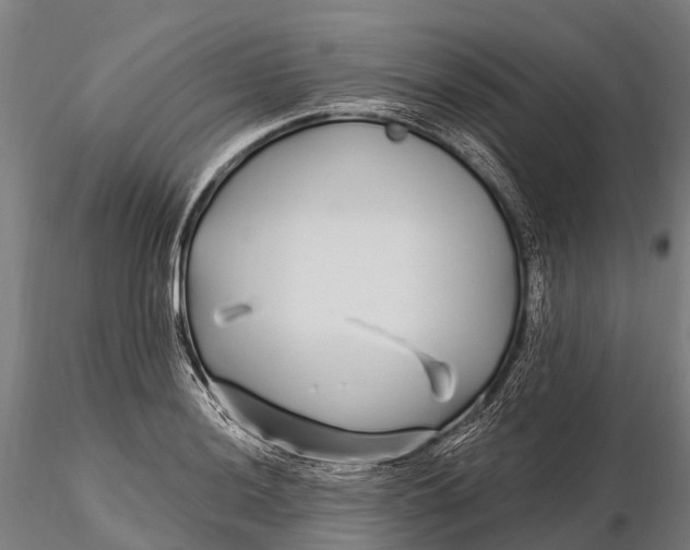 X0000115691036200912031437