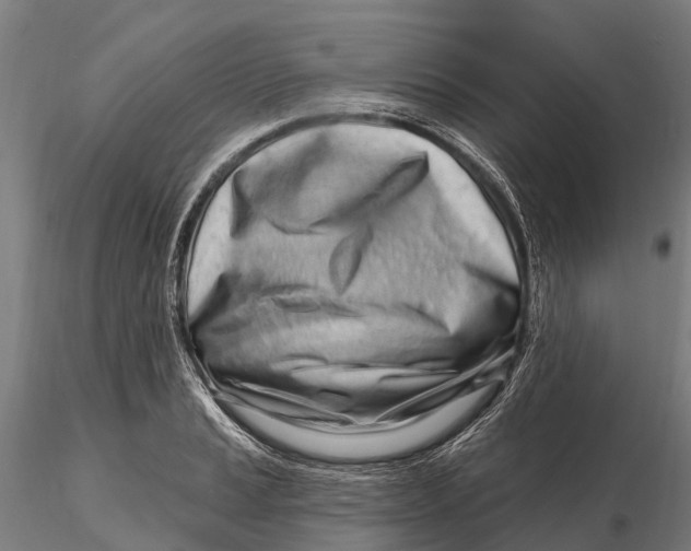 X0000115691037200912031438