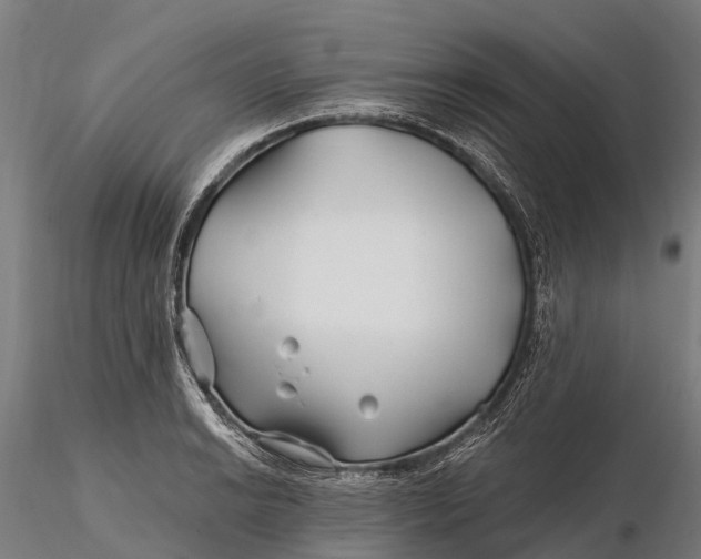 X0000115691038200912031438