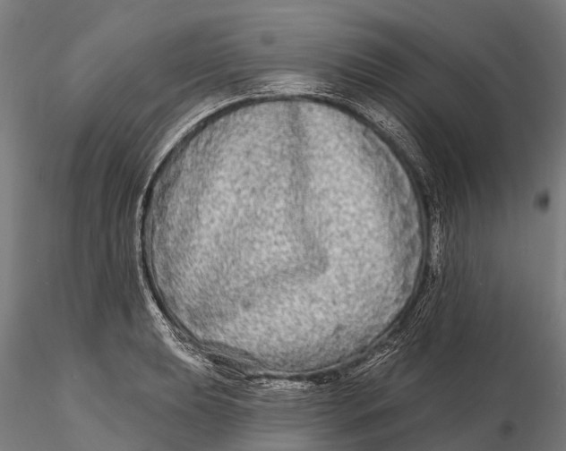 X0000115691039200912031438