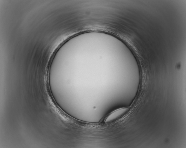 X0000115691040200912031438