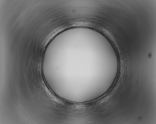 X0000115691041200912031438