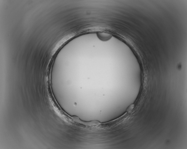 X0000115691042200912031438