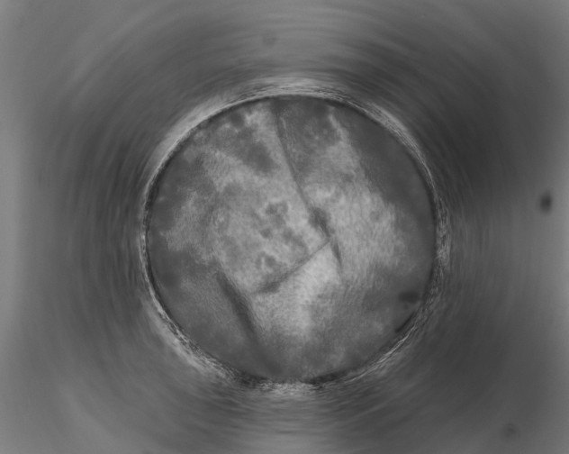 X0000115691043200912031438