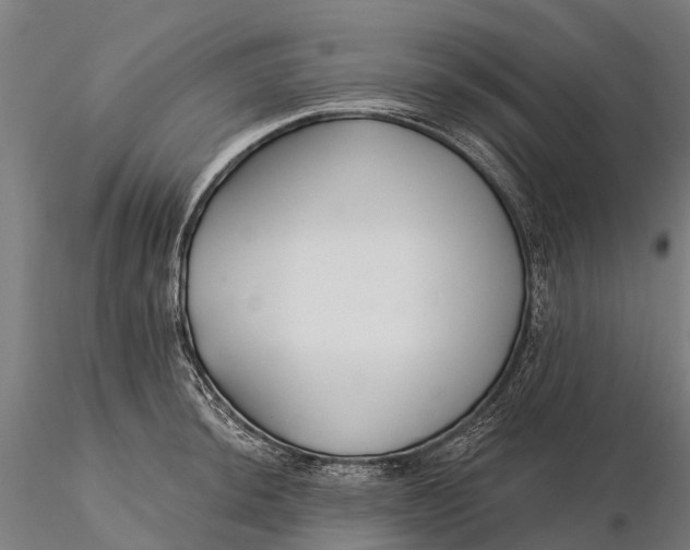 X0000115691044200912031438