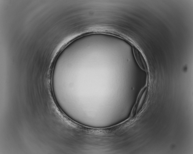 X0000115691045200912031438