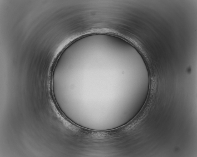 X0000115691046200912031438