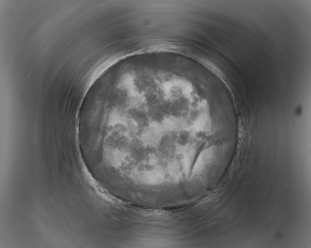 X0000115691047200912031438