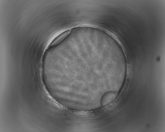 X0000115691048200912031438