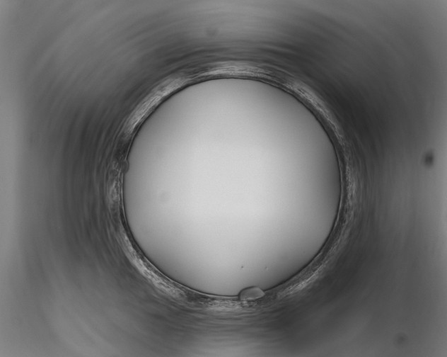 X0000115691049200912031438