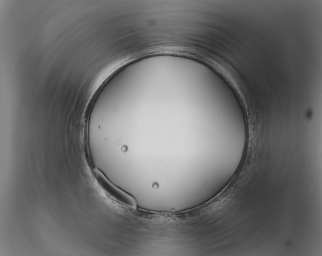 X0000115691050200912031438