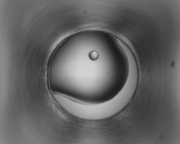 X0000115691051200912031438