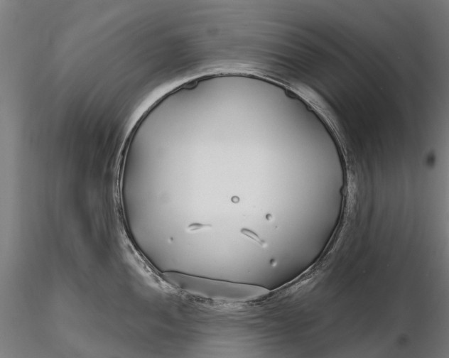 X0000115691052200912031438