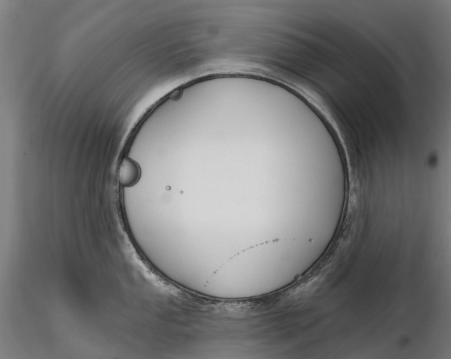 X0000115691053200912031438