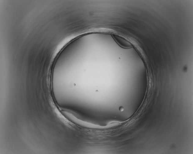 X0000115691054200912031438