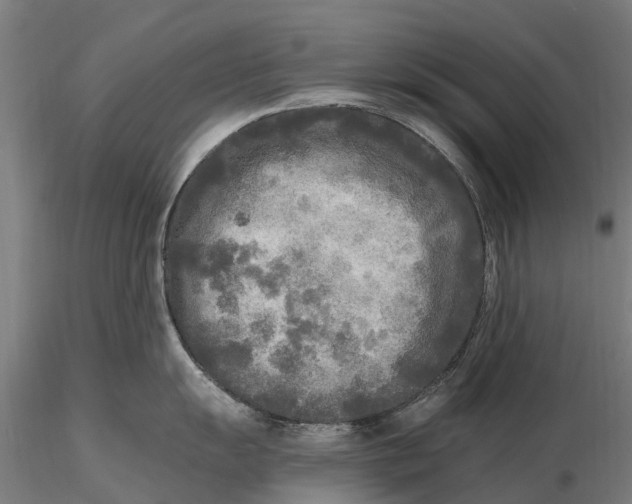 X0000115691055200912031438