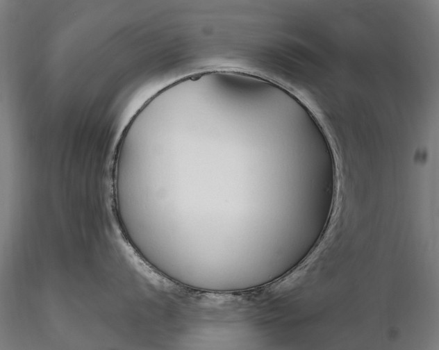 X0000115691056200912031438