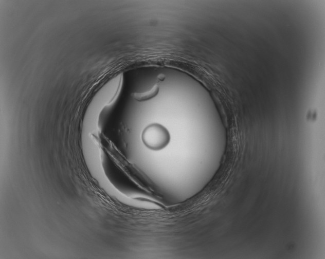 X0000115691057200912031437