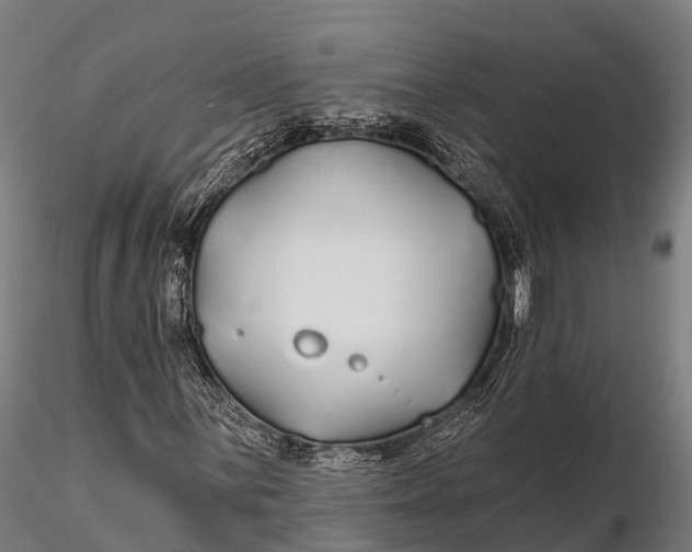 X0000115691059200912031437