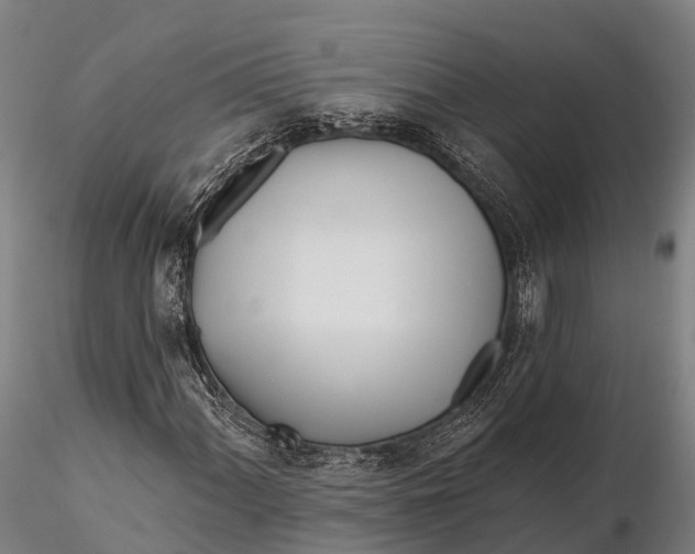 X0000115691060200912031437