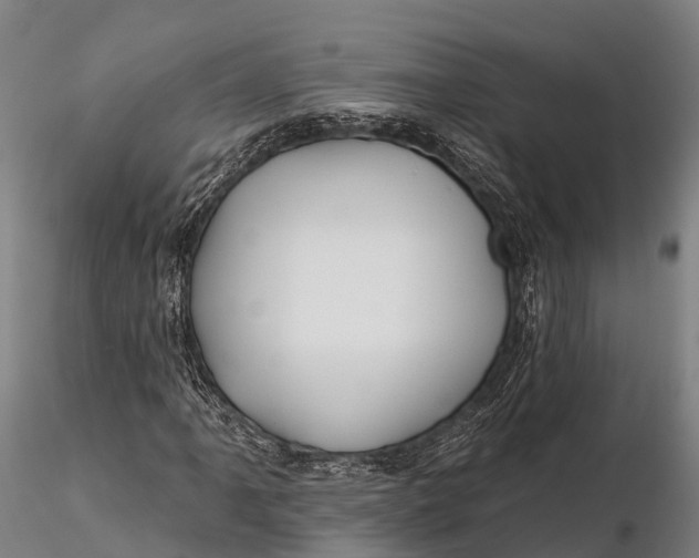 X0000115691061200912031437