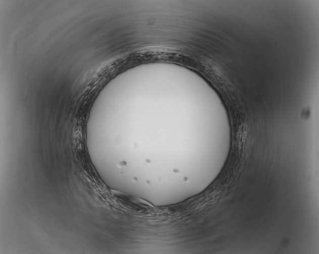 X0000115691062200912031437