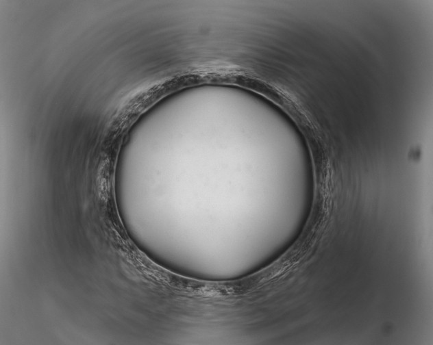 X0000115691063200912031437