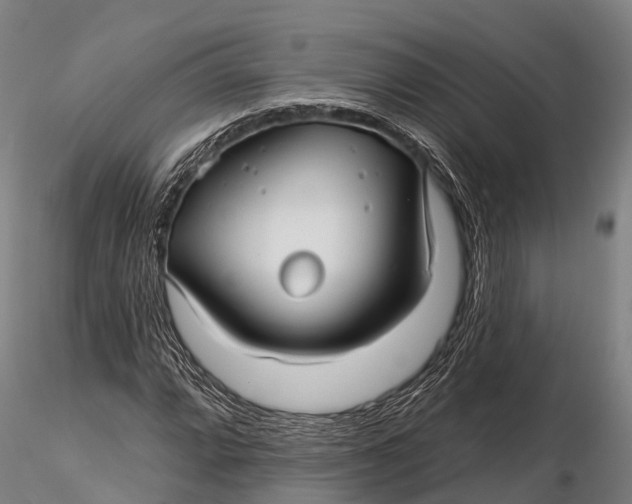 X0000115691064200912031437