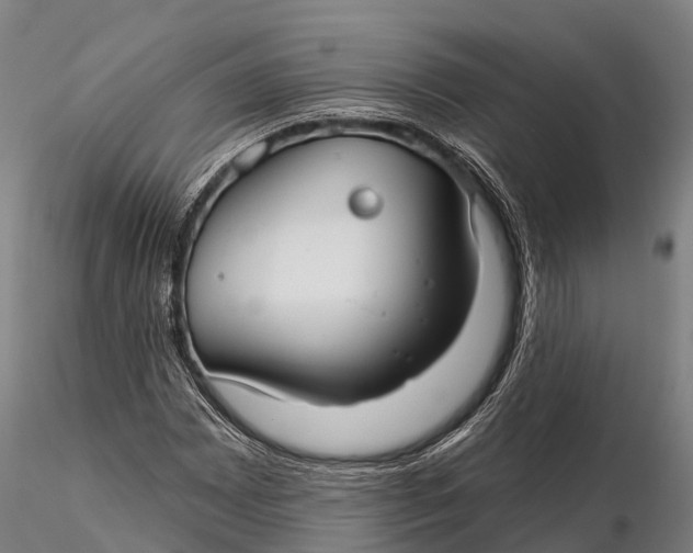 X0000115691065200912031437