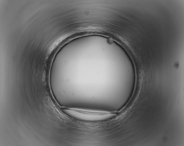 X0000115691066200912031437