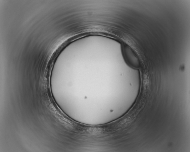 X0000115691068200912031437