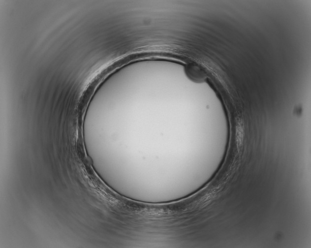 X0000115691069200912031437