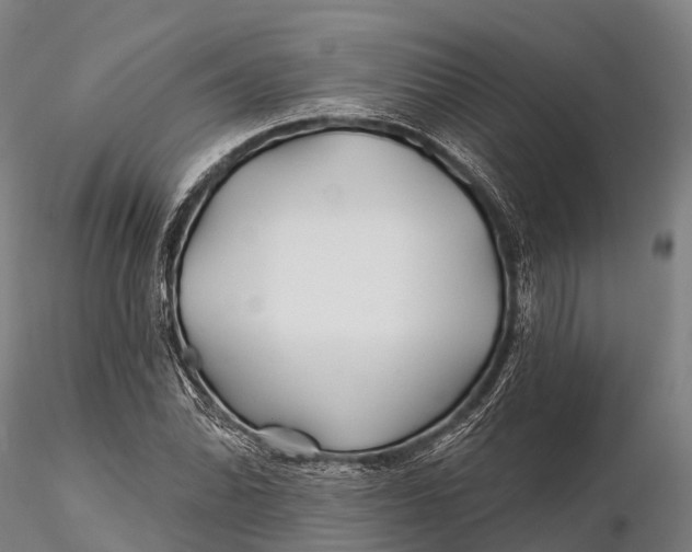 X0000115691070200912031437