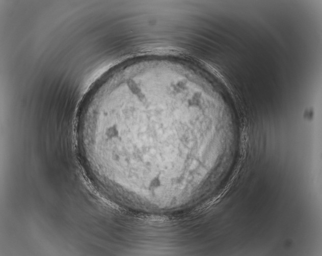 X0000115691071200912031437