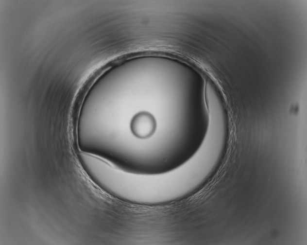 X0000115691072200912031437