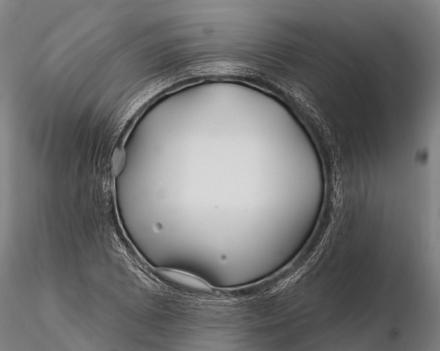 X0000115691073200912031437