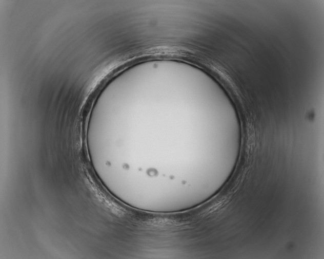 X0000115691075200912031437