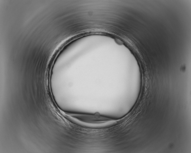 X0000115691076200912031437