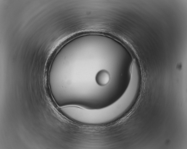 X0000115691077200912031437