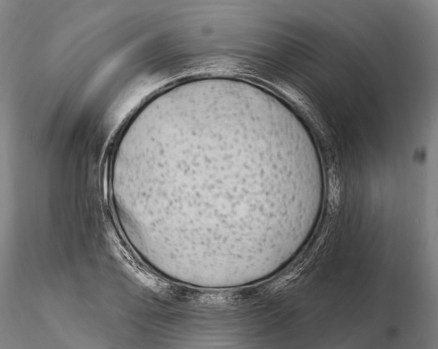 X0000115691078200912031437