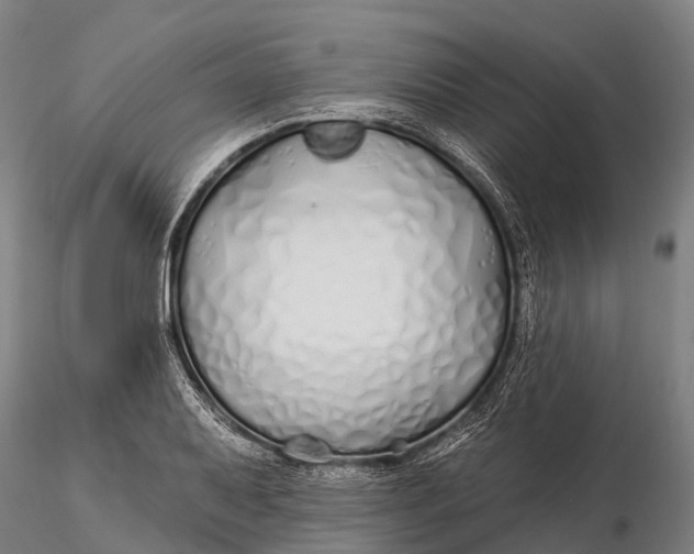 X0000115691079200912031437