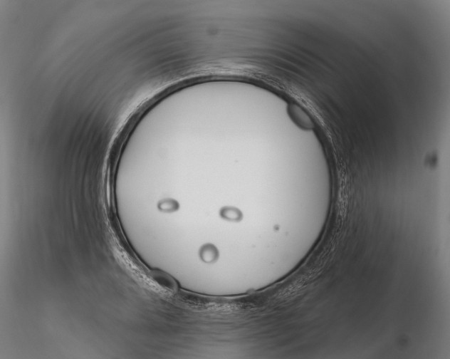 X0000115691080200912031437