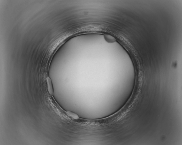 X0000115691081200912031437