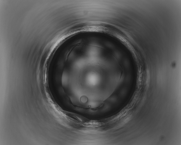 X0000115691083200912031437