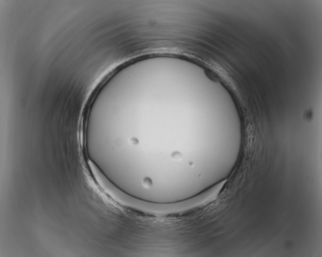 X0000115691084200912031437